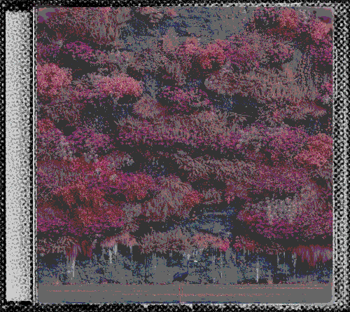 Even in Arcadia album's cover from Sleep Token